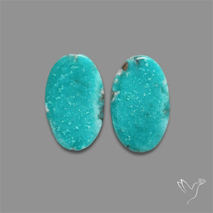Arizona Turquoise Pair