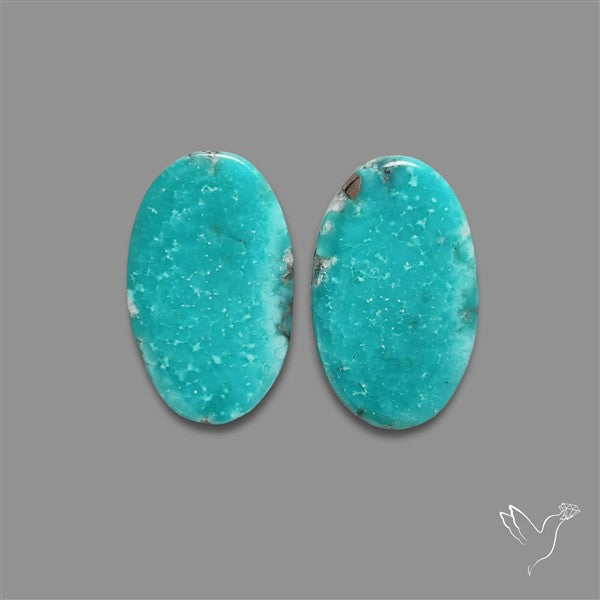 Arizona Turquoise Pair