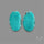 Arizona Turquoise Pair