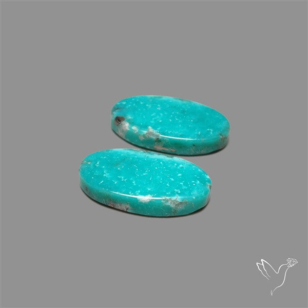 Arizona Turquoise Pair