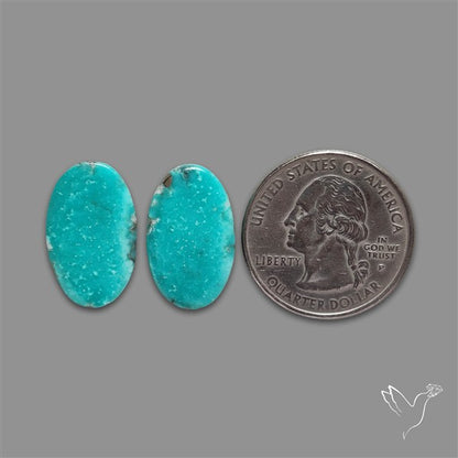 Arizona Turquoise Pair