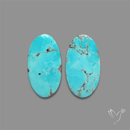 Arizona Turquoise Pair