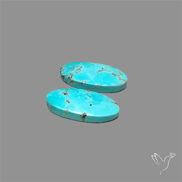 Arizona Turquoise Pair