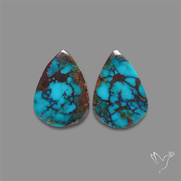 Arizona Turquoise Pair