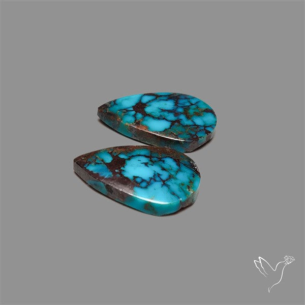 Arizona Turquoise Pair