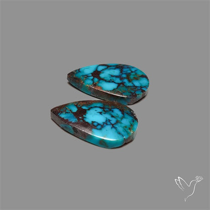 Arizona Turquoise Pair
