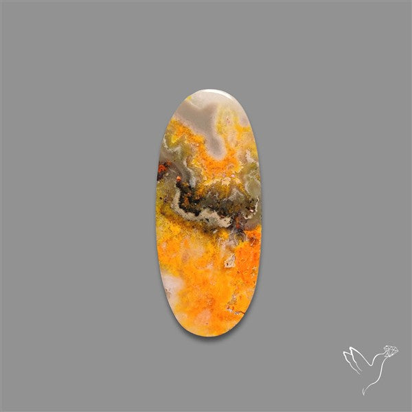 Bumble Bee Jasper Cabochon