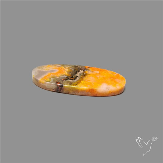 Bumble Bee Jasper Cabochon
