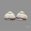 Phantom Calcite Pair