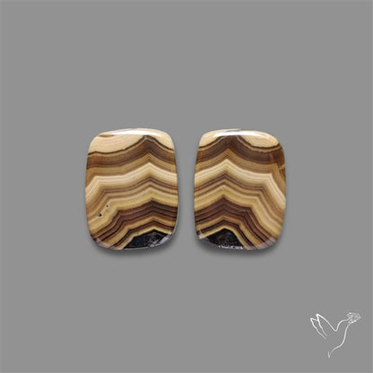 Schalenblende Pair