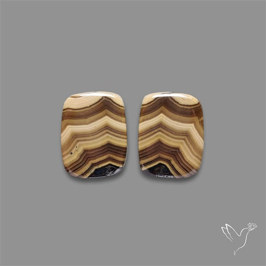 Schalenblende Pair
