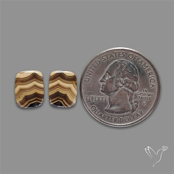 Schalenblende Pair