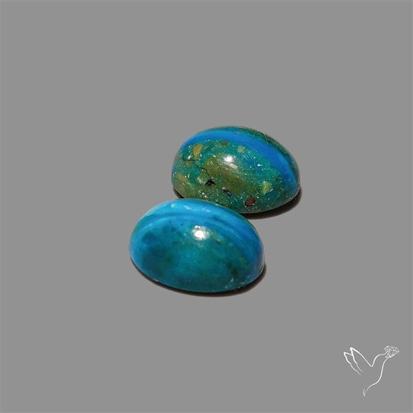 Peruvian Opalina Pair