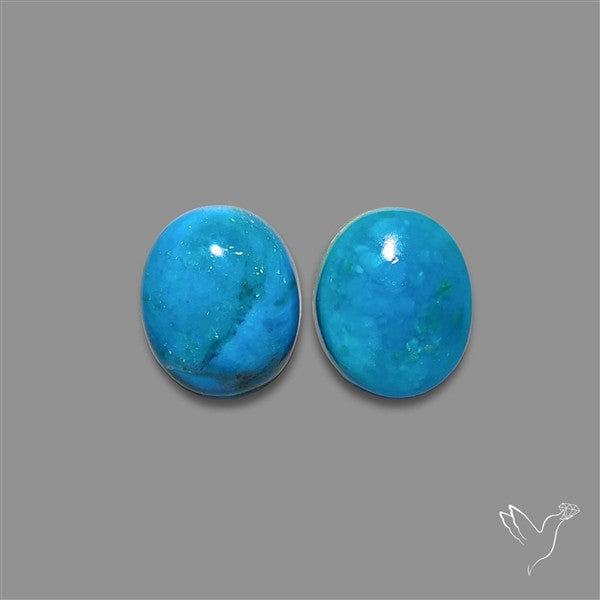 Peruvian Opalina Pair