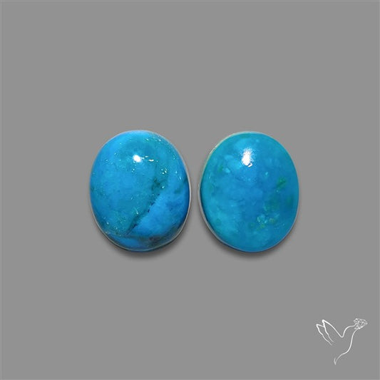 Peruvian Opalina Pair