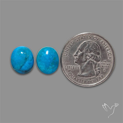 Peruvian Opalina Pair
