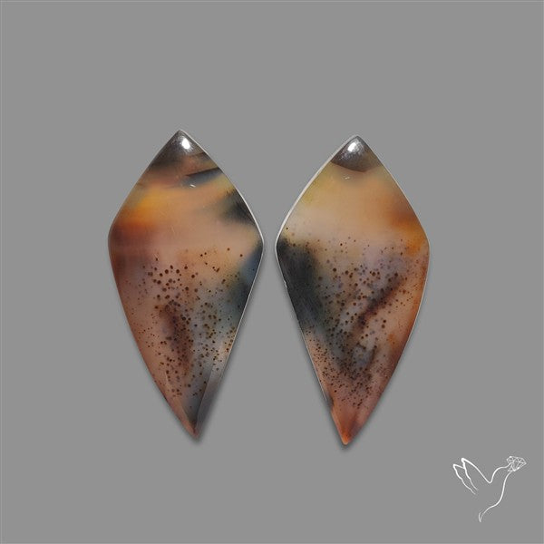 Montana Agate Pair
