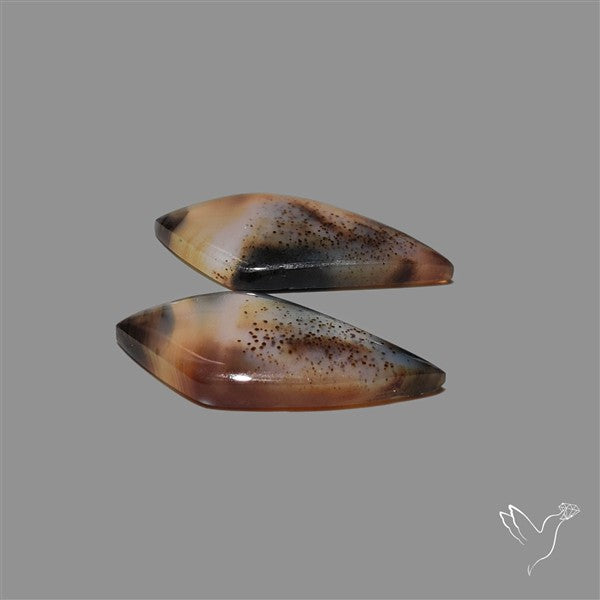 Montana Agate Pair
