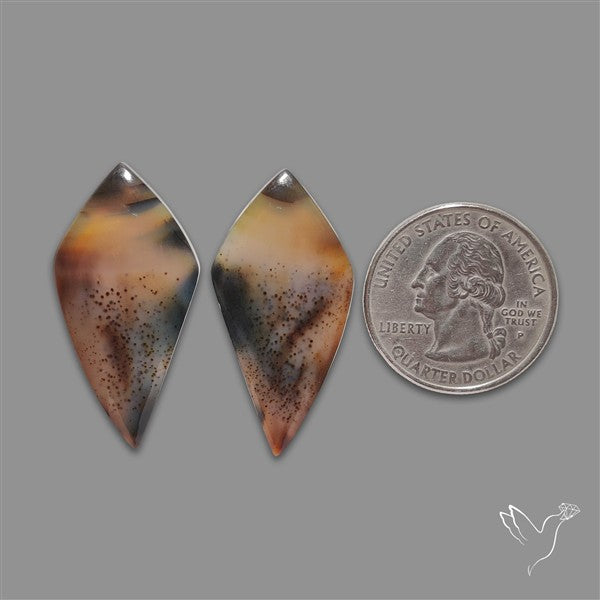 Montana Agate Pair