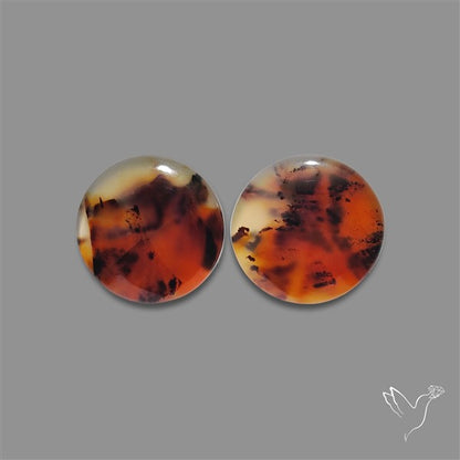 Montana Agate Pair