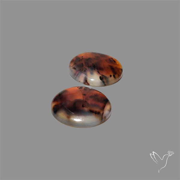 Montana Agate Pair