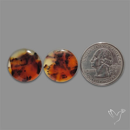 Montana Agate Pair