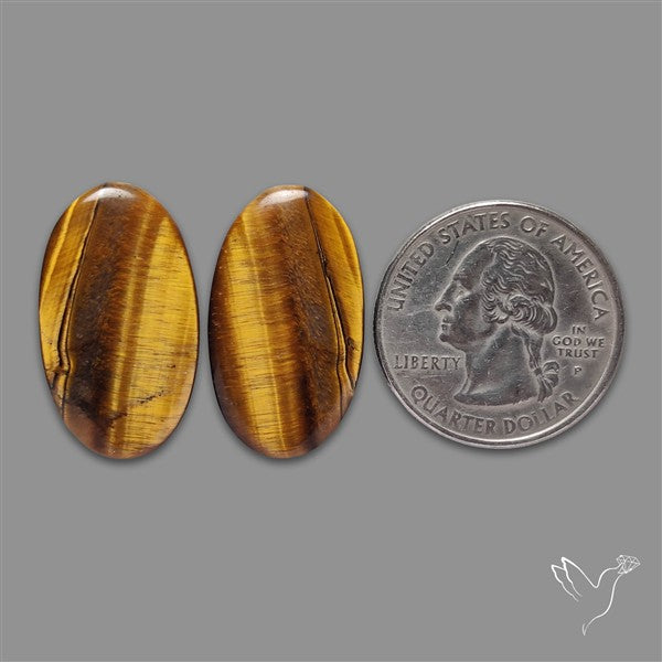 TIger Eye Pair
