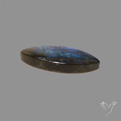 Deep Blue Labradorite Cabochon