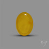 Butterscotch Baltic Amber Cabochon