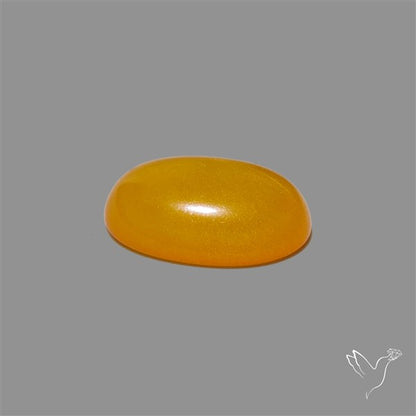 Butterscotch Baltic Amber Cabochon