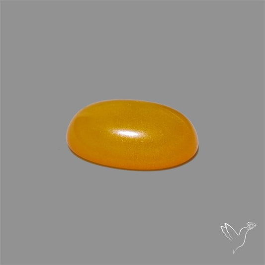 Butterscotch Baltic Amber Cabochon