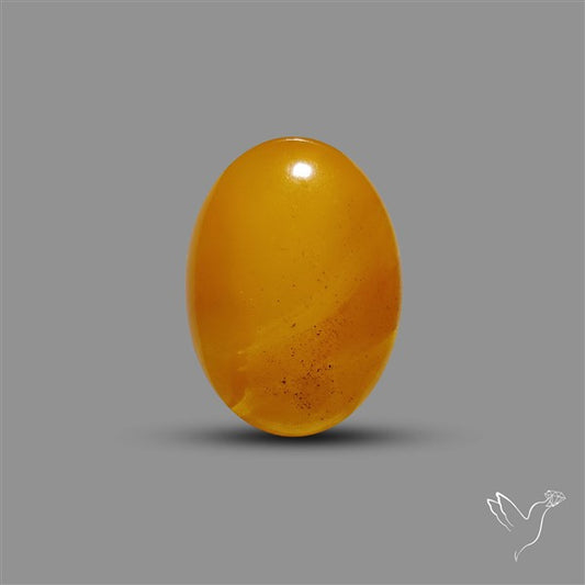 Butterscotch Baltic Amber Cabochon