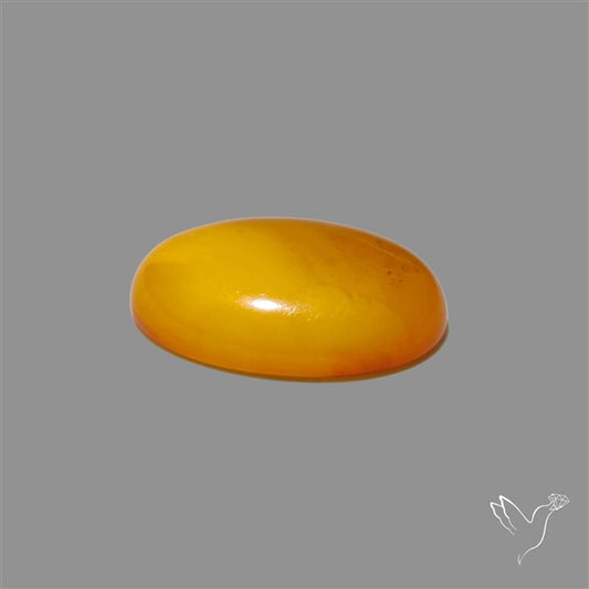 Butterscotch Baltic Amber Cabochon