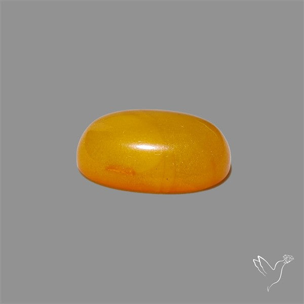 Butterscotch Baltic Amber Cabochon