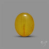 Butterscotch Baltic Amber Cabochon