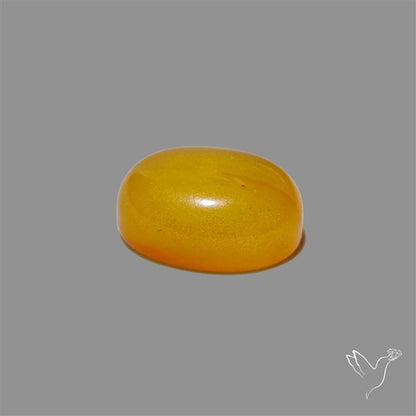 Butterscotch Baltic Amber Cabochon