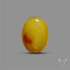 Butterscotch Baltic Amber Cabochon