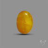 Butterscotch Baltic Amber Cabochon