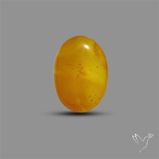 Butterscotch Baltic Amber Cabochon