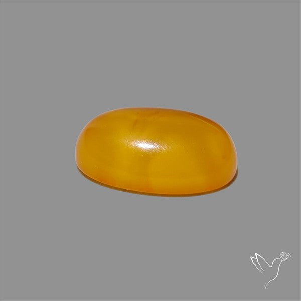 Butterscotch Baltic Amber Cabochon