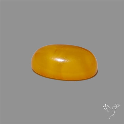 Butterscotch Baltic Amber Cabochon