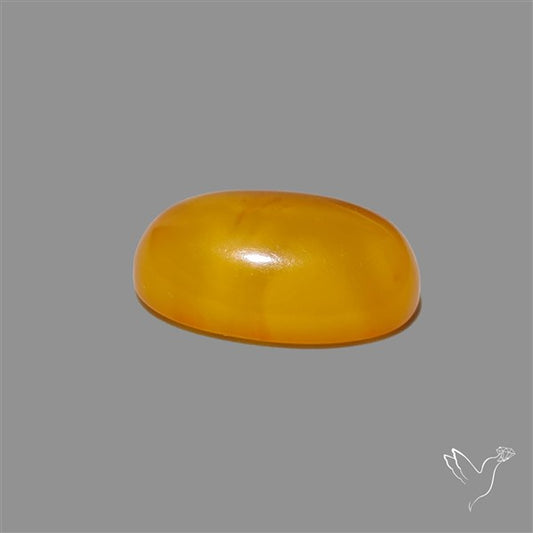 Butterscotch Baltic Amber Cabochon