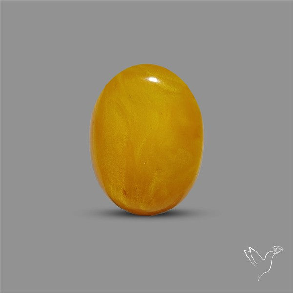 Butterscotch Baltic Amber Cabochon