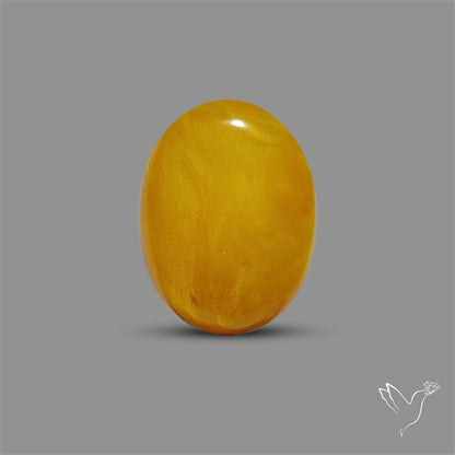 Butterscotch Baltic Amber Cabochon