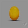 Butterscotch Baltic Amber Cabochon