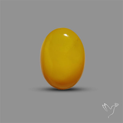 Butterscotch Baltic Amber Cabochon