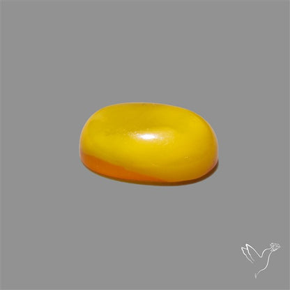 Butterscotch Baltic Amber Cabochon