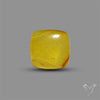 Butterscotch Baltic Amber Cabochon