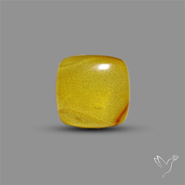 Butterscotch Baltic Amber Cabochon