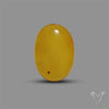 Butterscotch Baltic Amber Cabochon